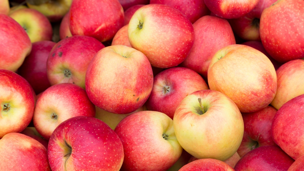 Top 10 Best Healthy Foods for Pregnant Women