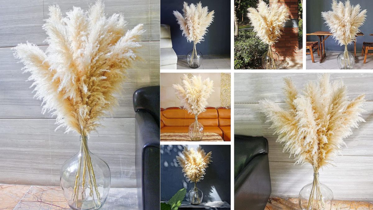 Fall Home Decor Ideas: How to Make Your Space Feel Cozy This Season fall home decor ideas 4