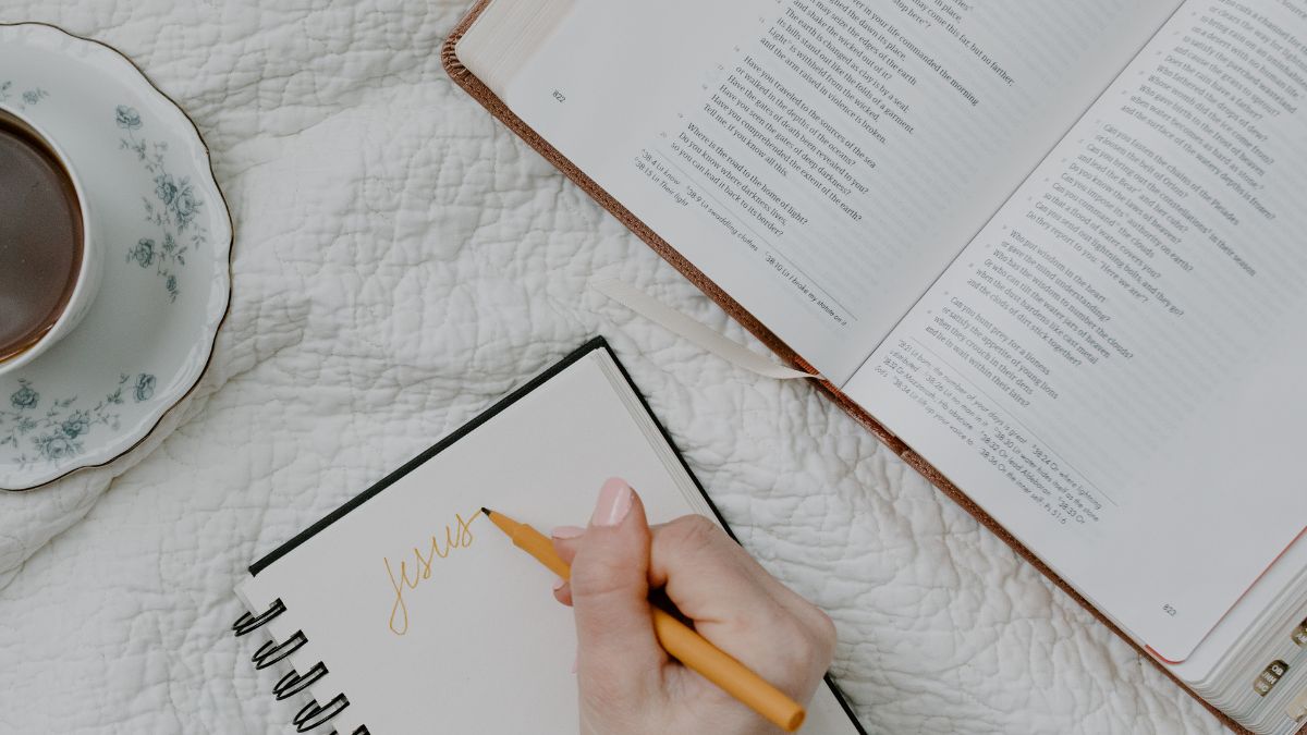 start a character study journal 6