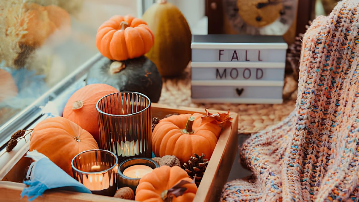 cozy fall entertaining ideas at home 1