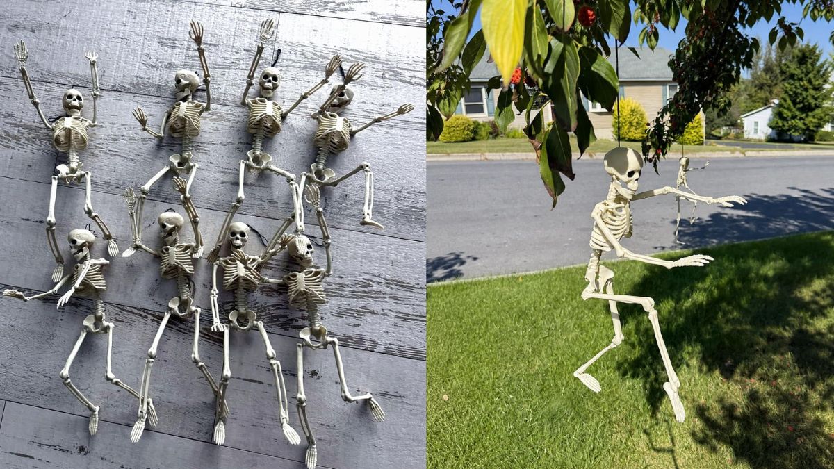 elevated spooky halloween decor 4