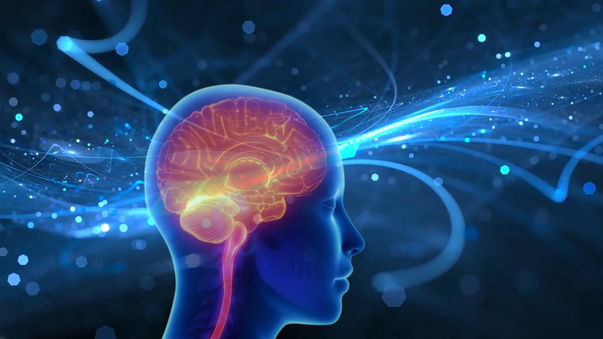 How to Do a Brain Dump When Your Mind Feels Completely Full how to do a brain dump 3