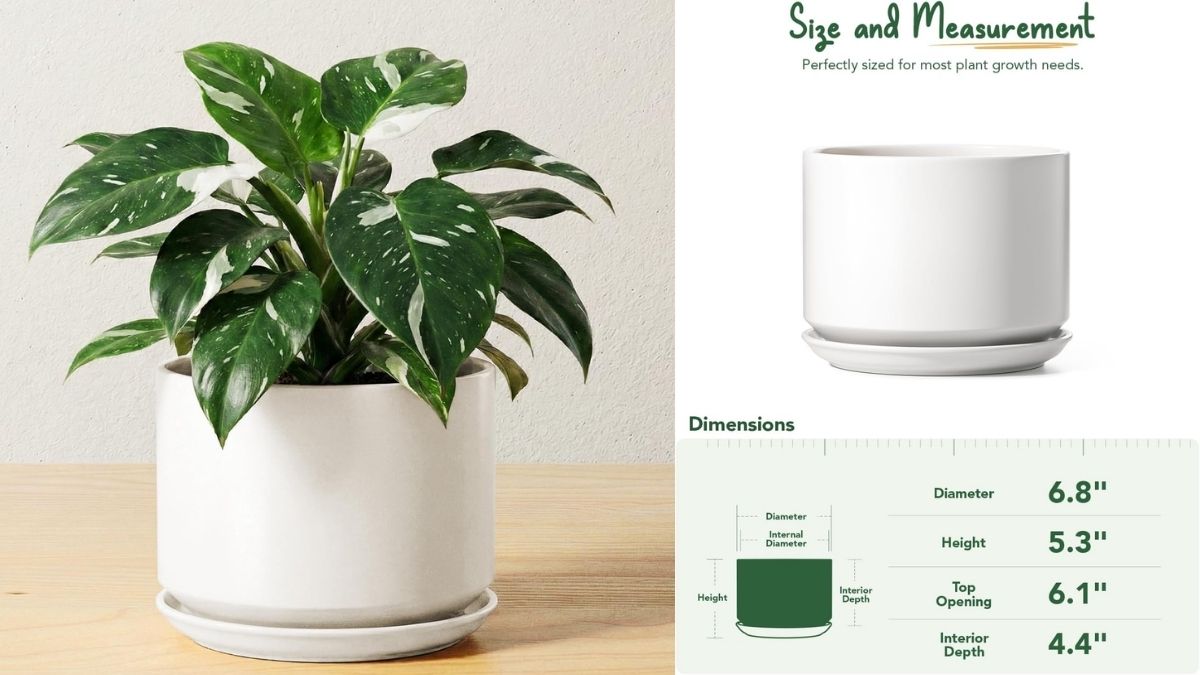 scandinavian home decor 6