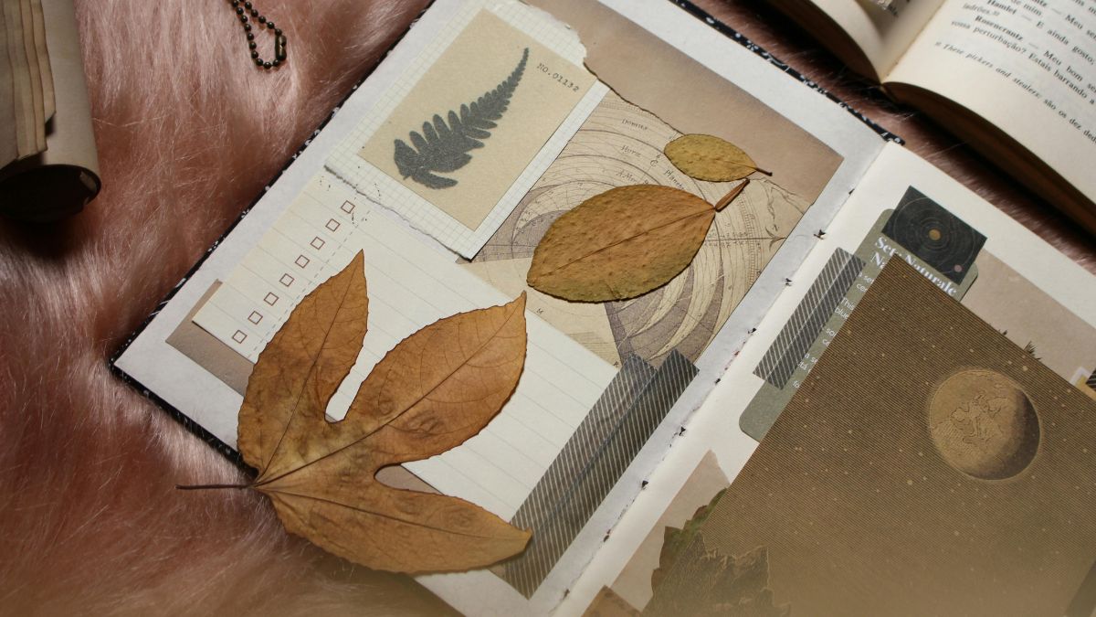 Junk Journaling 101: Everything You Need to Start This Cozy Hobby